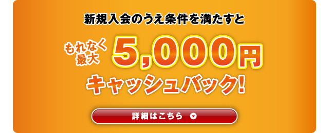 新規入会のうえ条件を満たすともれなく最大5,000円キャッシュバック!