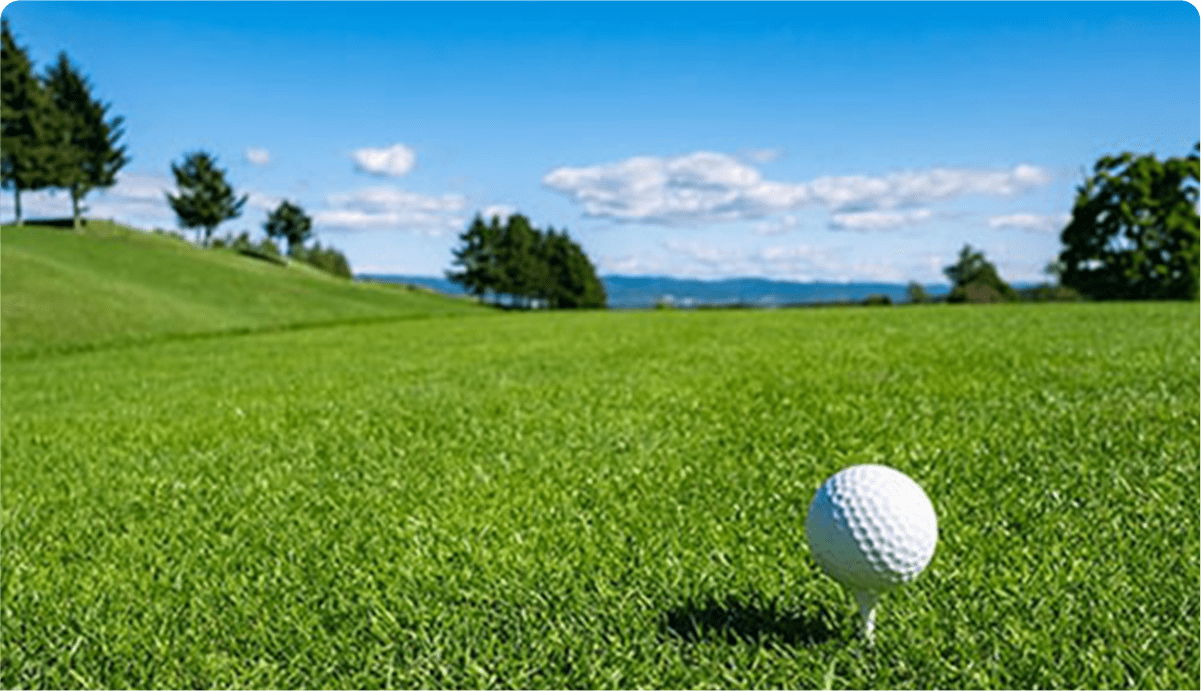 ゴルフサービス