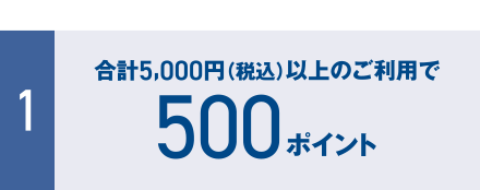 [1] 合計5,000円（税込）以上のご利用で500ポイント