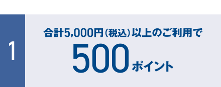 [1] 合計5,000円（税込）以上のご利用で500ポイント
