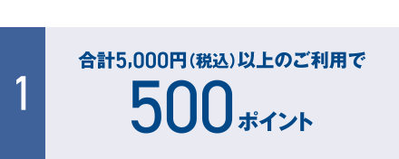 [1] 合計5,000円（税込）以上のご利用で500ポイント