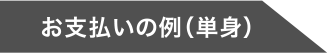 お支払いの例（単身）