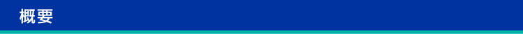 概要